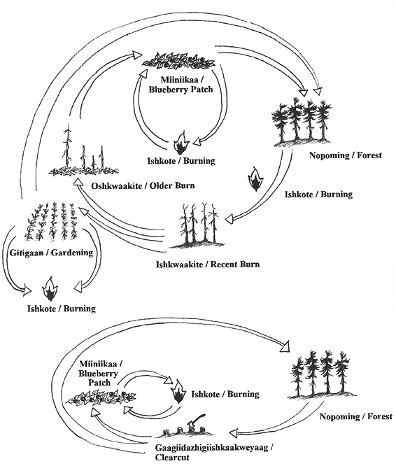 hdavidson-huntfigure4