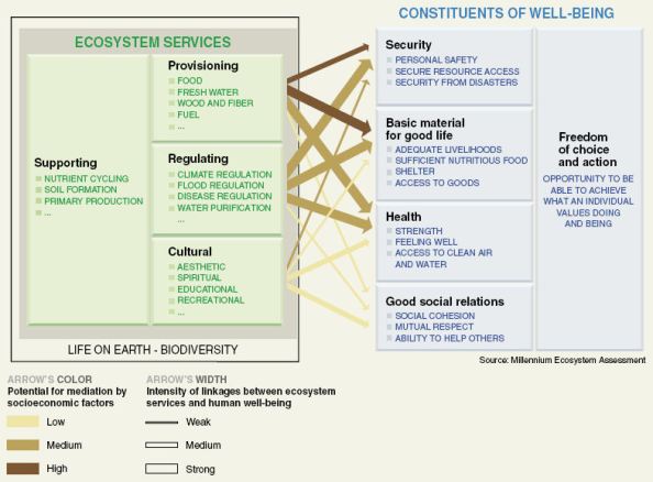 ecosystem_servicesMA ecosystem_servicesMA