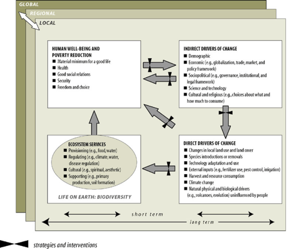 MA-conceptual_framework MA-conceptual_framework