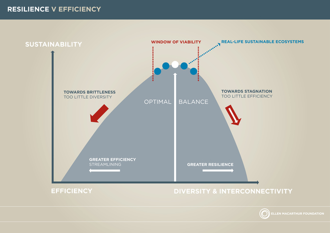 Goerner, Sally, & Voller, Randolph. (2013). Rebuilding Economic Vitality ─ R.E.V.©the World: How energy laws and keen observations of what does and does not work in human networks are uniting in a common vision of how to build lasting economic vitality. In (Webster, Ken; J. Bleriot and C. Johnson, Eds). A New Dynamic: Effective Business in a Circular Economy. London: the Ellen MacArthur Foundation.