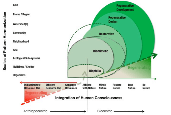 Reed_levelsofecological strategy.PNG