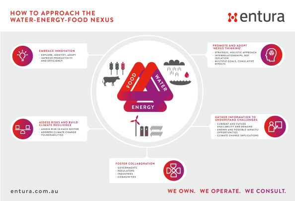 6459-ENT-Food-water-energy-nexus_branded