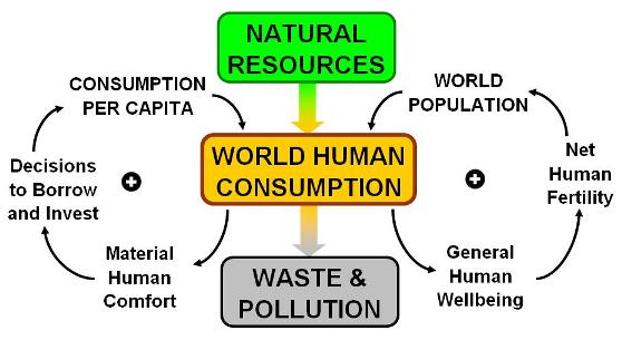 SUSTAINABILITY-PARADOX